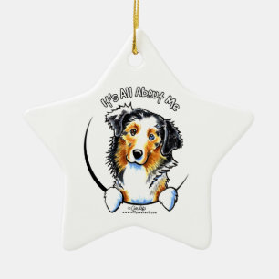 Australian shepherd IAAM Julgransprydnad Keramik
