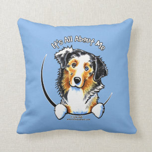 AUSTRALIAN SHEPHERD IAAM KUDDE