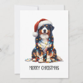 Australian shepherd inslagna i julljus julkort