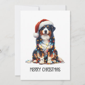 Australian shepherd inslagna i julljus julkort