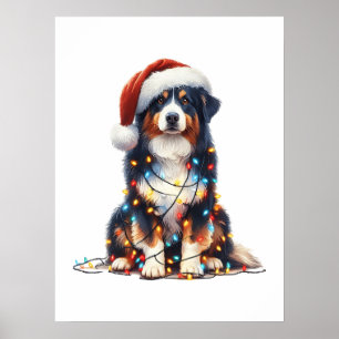 Australian shepherd inslagna i julljus poster