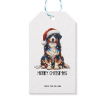 Australian shepherd inslagna i julljus