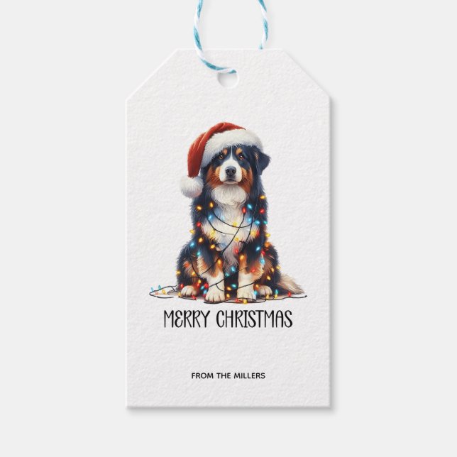 Australian shepherd inslagna i julljus presentetikett (Framsidan)