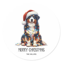 Australian shepherd inslagna i julljus