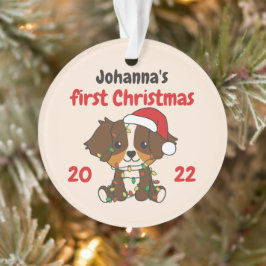 Australian shepherd jul Babys första Christma