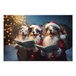 Australian shepherd jul Caroling Helgdag Fototryck