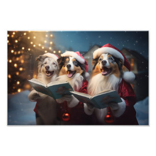 Australian shepherd jul Caroling Helgdag Fototryck