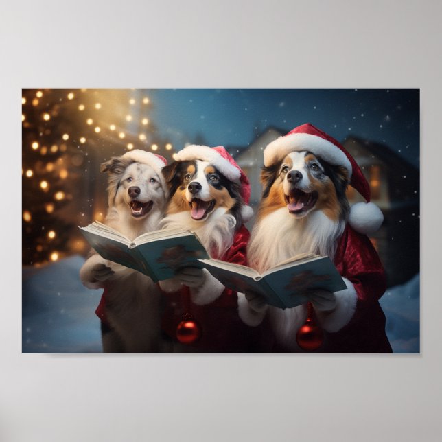 Australian shepherd jul Caroling Helgdag Poster (Framsidan)