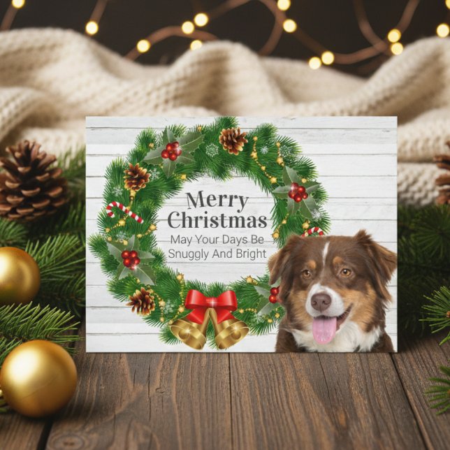Australian shepherd jul helg vykort (Australian Shepherd Christmas  Holiday Postcard)