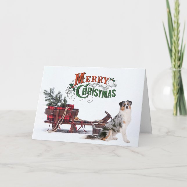 Australian Shepherd jul Helgkort (Framsida)