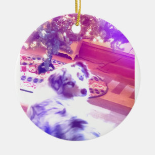 australian shepherd jul julgransprydnad keramik