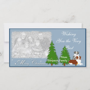 Australian shepherd jul julkort
