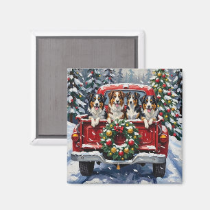 Australian Shepherd Jul Röd Lastbil Holiday Magnet