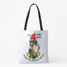 Australian shepherd jul