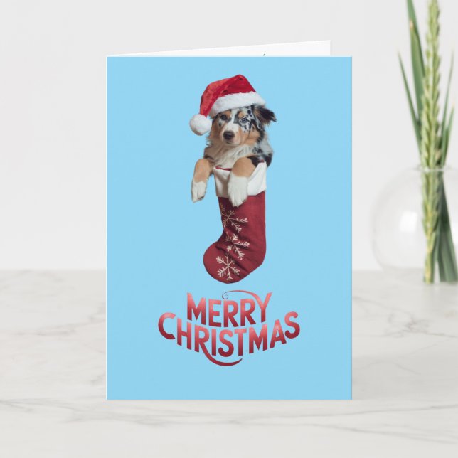 Australian shepherd-julklapp kort (Framsida)
