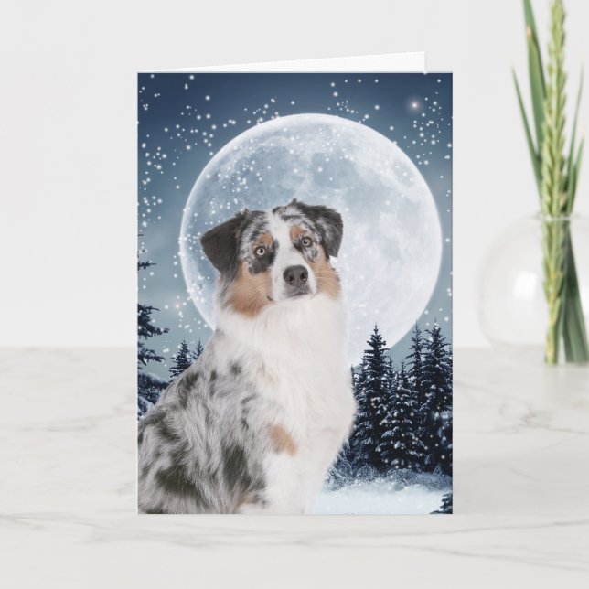 Australian shepherd julkort helgkort (Framsida)
