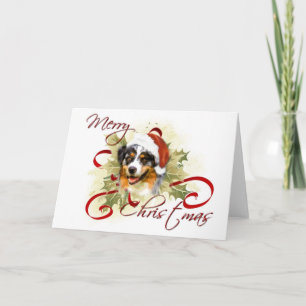 Australian shepherd julkort helgkort