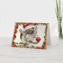 Australian shepherd julkort helgkort