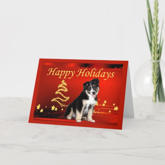 Australian shepherd julkortsstjärnor helgkort (Framsida)