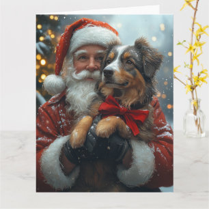 Australian shepherd Jultomten - jul Kort