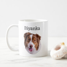Australian shepherd