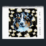 AUSTRALIAN SHEPHERD KALENDER<br><div class="desc">BEAUTIFUL AUSTRALIAN SHEPHERD ART!</div>