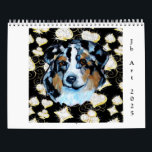 AUSTRALIAN SHEPHERD KALENDER<br><div class="desc">BEAUTIFUL AUSTRALIAN SHEPHERD ART!</div>