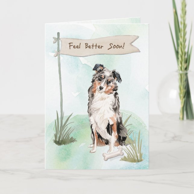 Australian shepherd känner bättre kirurgi i Hund Kort (Framsida)