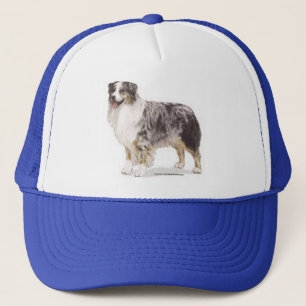 australian shepherd keps