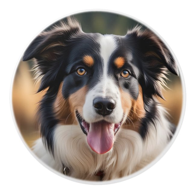 Australian shepherd keramisk Hund Knob Knopp (Framsidan)