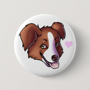 Australian shepherd knapp