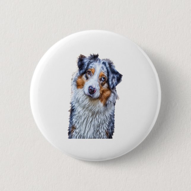 Australian shepherd knapp (Framsida)