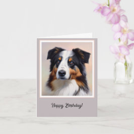 Australian Shepherd Kopf -  Kort
