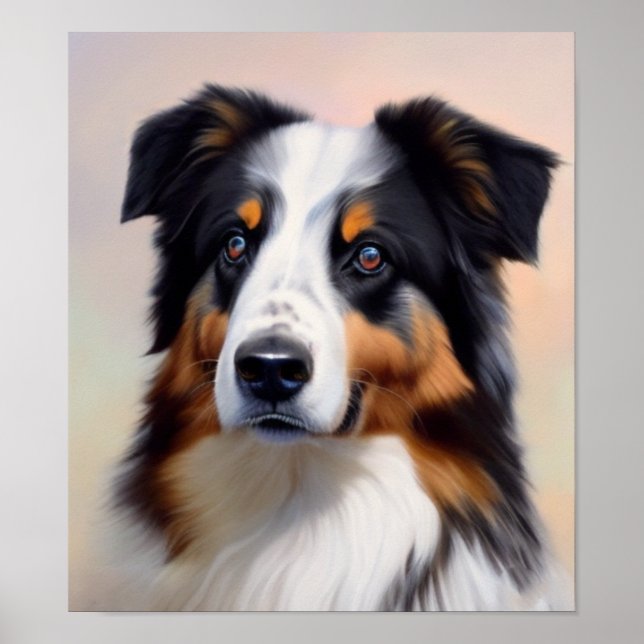 Australian Shepherd Kopf -  Poster (Framsidan)