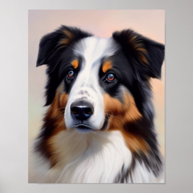 Australian Shepherd Kopf -  Poster (Framsidan)