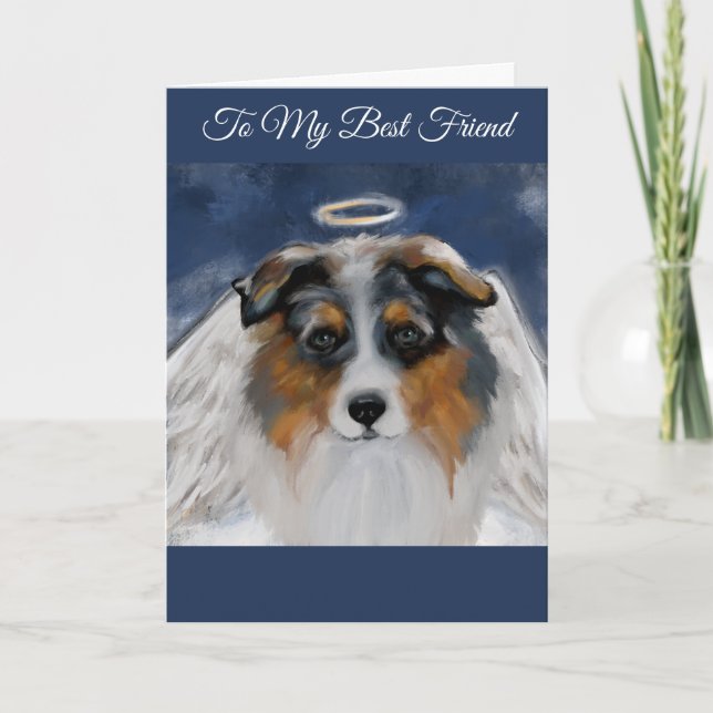 Australian shepherd kort (Framsida)