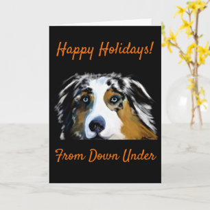 Australian Shepherd Kort
