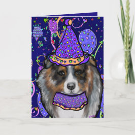 Australian Shepherd Kort