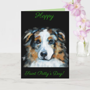 Australian Shepherd Kort