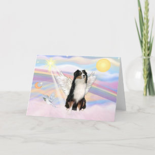 Australian shepherd kort