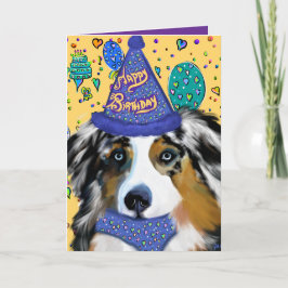 Australian shepherd kort