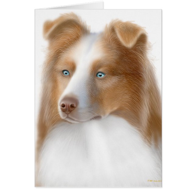 Australian shepherd-kort hälsningskort (Framsidan)