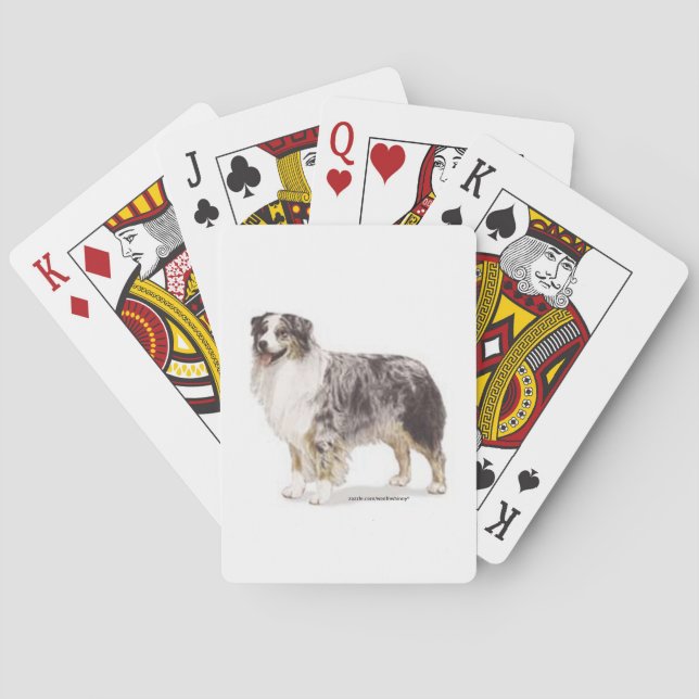 Australian shepherd kortlek (Baksidan)
