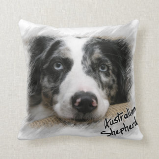 Australian shepherd kudder kudde