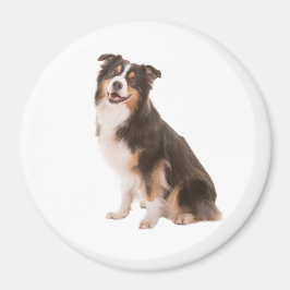 Australian shepherd magnet