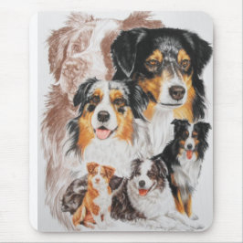 Australian shepherd med Ghost Musmatta