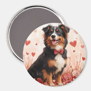 Australian shepherd med Ro - Alla hjärtans dag Magnet