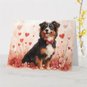 Australian Shepherd med rosor - Alla hjärtans dag Kort