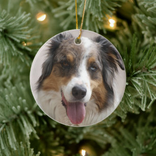australian shepherd merle julgransprydnad keramik