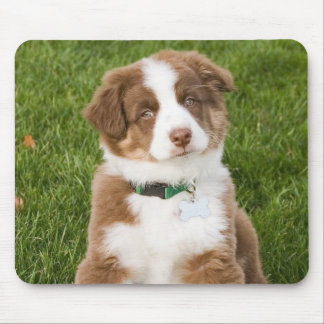 Australian shepherd Mousepad Musmatta